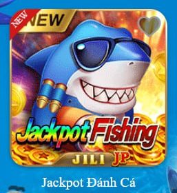 photo_2025-11-24_23-32-41