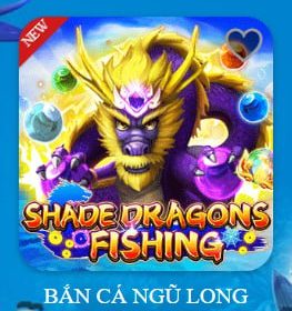 photo_2025-11-24_23-32-54